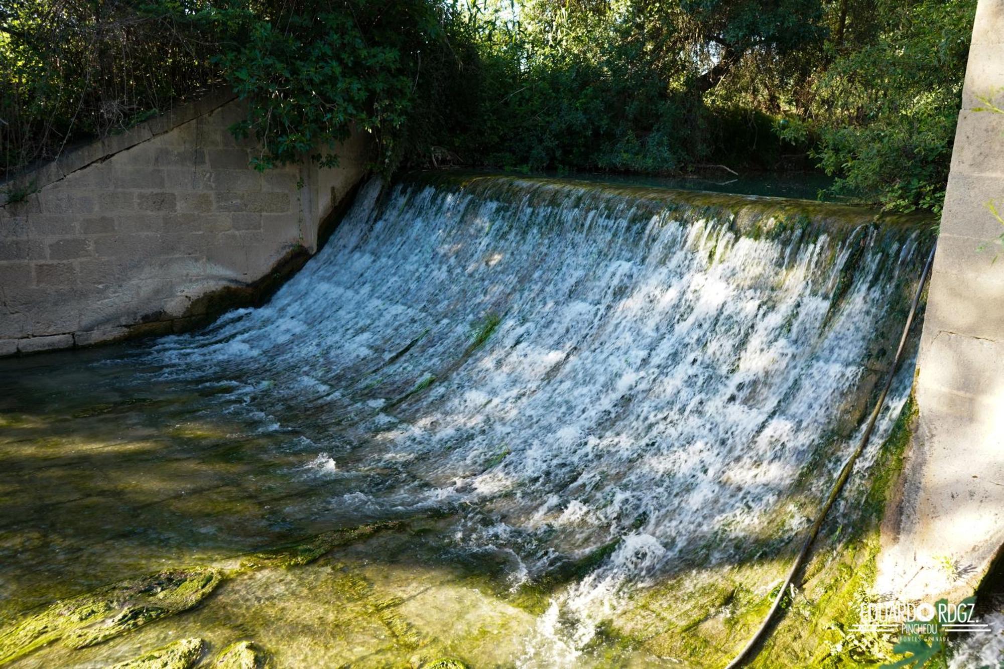 Alojamiento Rural Caserio De La Fuente Deifontes Ngoại thất bức ảnh