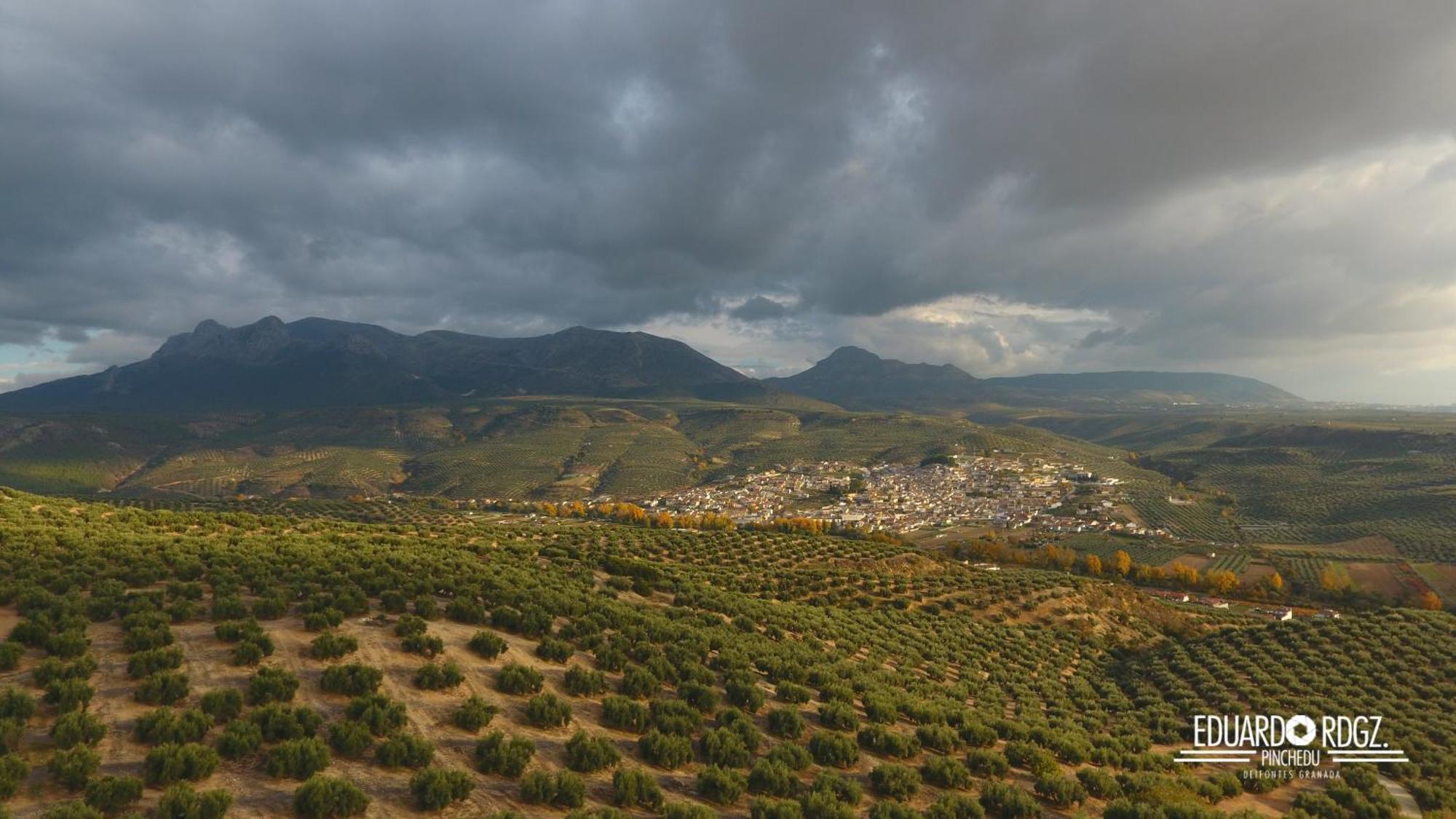 Alojamiento Rural Caserio De La Fuente Deifontes Ngoại thất bức ảnh